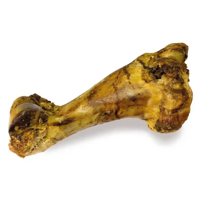 Stock presque épuisé | Os de bœuf XL - 30cm