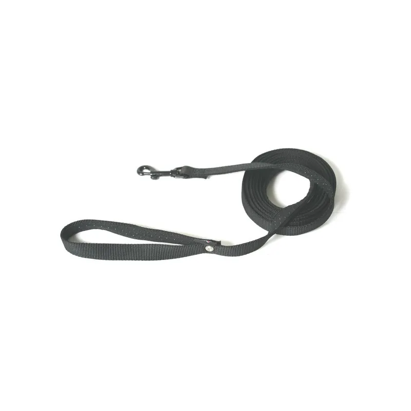 Longe nylon Martin Sellier noir 20mm-5m pour chien - Offre