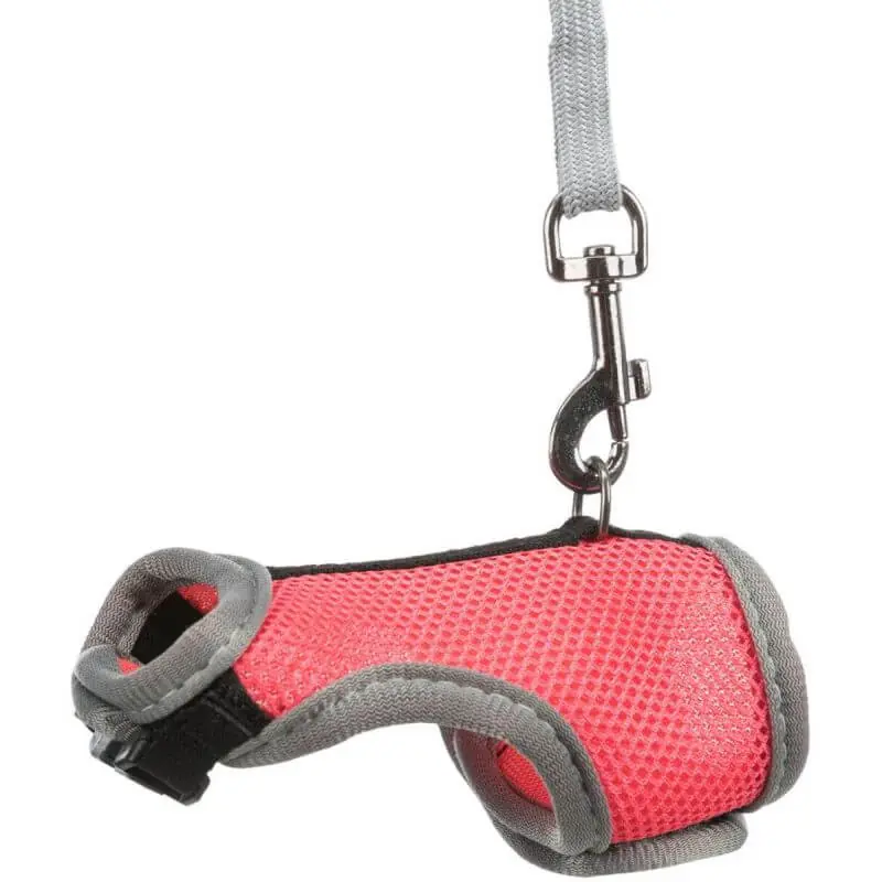 Produit phare | Harnais doux avec laisse, lapins nains, 25–32 cm, 1,20 m