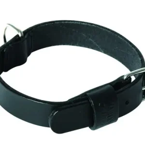 Martin Sellier - Collier avec Bords Ronds Noir pour Chien - 25/50cm - Best-seller