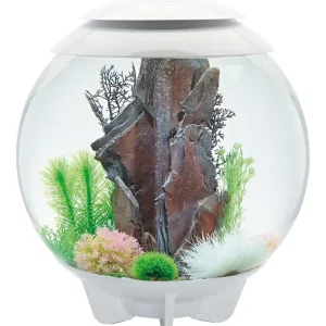 biOrb - Aquarium Halo - 60 mcr blanc | Offre
