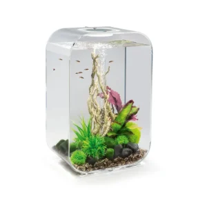 Tout juste ajouté | biOrb - Aquarium Life - 45 mcr transparent