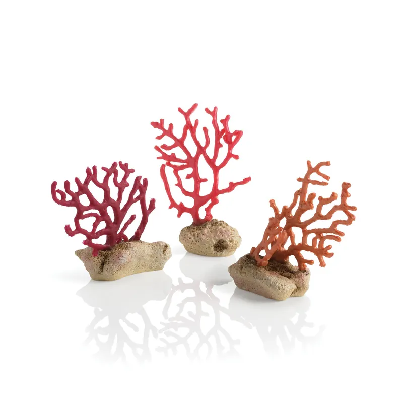 biOrb - Set coraux branche - Super prix