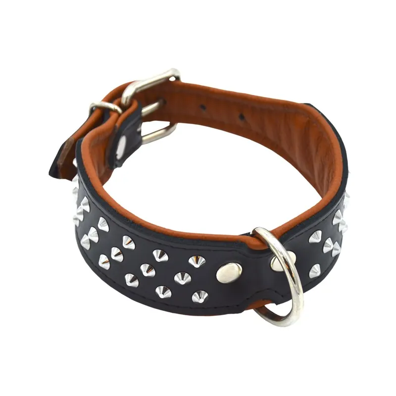Comme Un Roi - Collier Cuir Clouté So Chic Noir pour Chien - À ne pas manquer