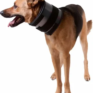 Liquidation - KVP - Minerve Bite Free Cervical Pour Chien