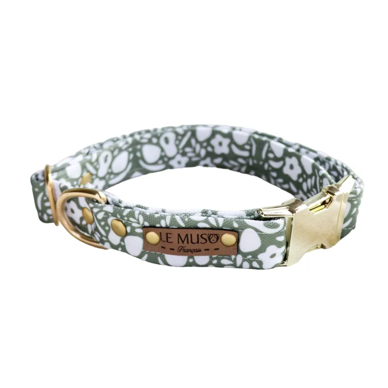Le Muso - Collier Oscar Vert pour Chiens | Quantité limitée