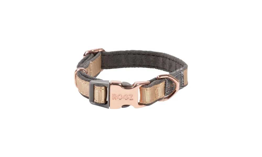 Quantité limitée | Rogz - Collier Urban Or pour Chiens