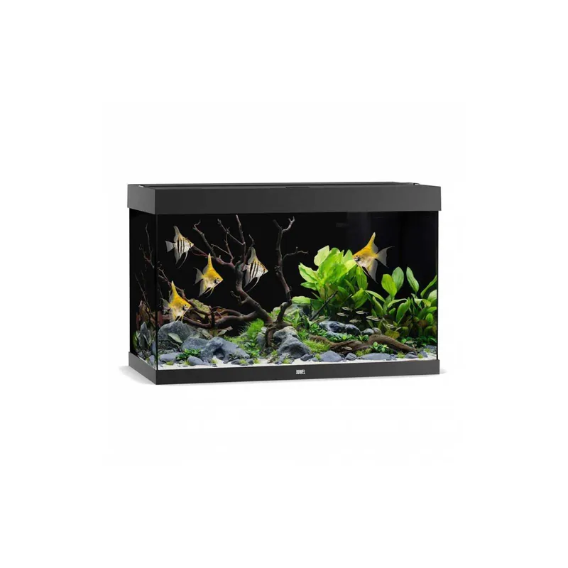 Produit phare | Aquarium RIO 290 - Juwel