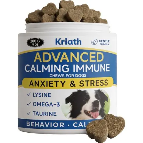 Comprimés à croquer doux pour chiens, pour protéger la santé de votre chien et lui apporter un complément nutritionnel quotidien – 200 g -- BIEMMEDUE | Commandez dès maintenant