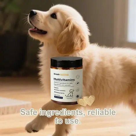 Commandez dès maintenant - Comprimés multivitaminés à croquer Gentle Formula pour chiens - Nutrition équilibrée pour les soins quotidiens du chien - 150 g