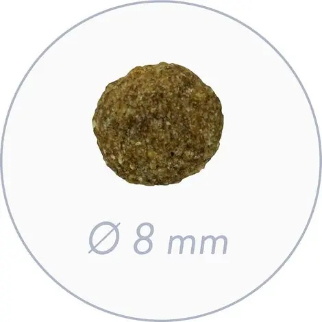 Achetez dès aujourd'hui - Bosch Mini Senior 2,5 kg