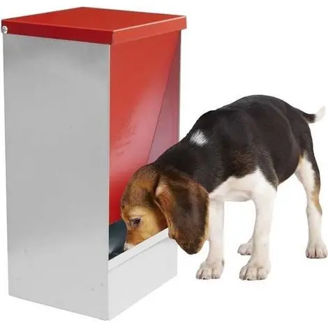 Trémie Mangeoire pour Chiens, Chats, Animaux de compagnie 27 litres, Mangeoire Auto-Service, 31x26x61 cm - Profitez-en maintenant