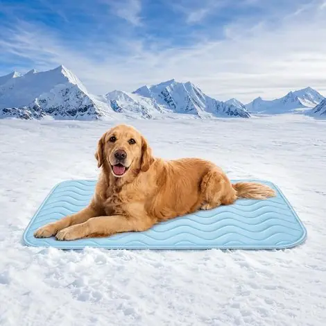 Prix imbattable | Tapis Rafraîchissant pour Chien, Coussin Auto-Rafraîchissant Lavable pour Canapé Sol et Voiture,Bleu-40x30cm