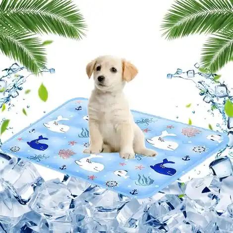 Tapis Rafraichissant Chien Chat 40 X 50cm,Tapis Fraicheur Chien ,Imperméable Pliable Résistant,Cat Cooling Mat pour Taille Petite à Moyenne(Baleine) | Achetez dès aujourd'hui