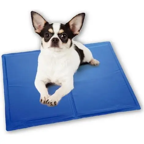 Commandez dès aujourd'hui - Tapis rafraîchissant pour chien taille S, 40x30 cm, coussin auto-refroidissant pour animaux
