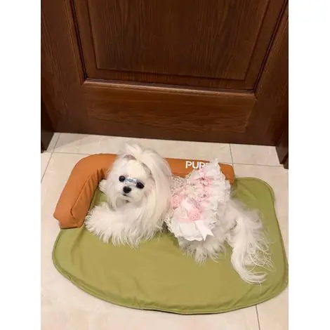 Tapis pour chien Ortviai M 60x40cm imperméable lavable avec oreiller intégré confort vert olive antidérapant - Envoi rapide