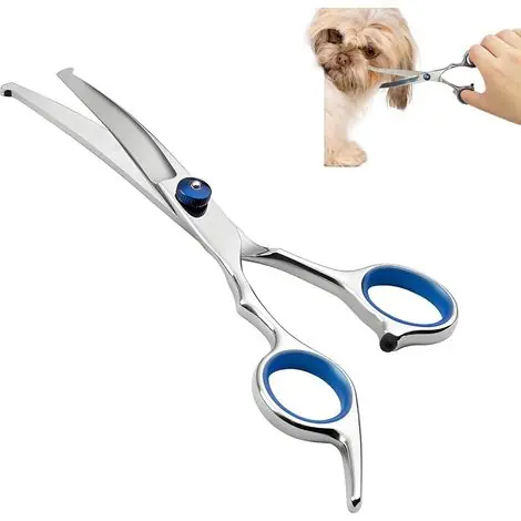Disponible | Coocheer – Ciseaux de toilettage professionnels en acier inoxydable pour chiens et chats – Embouts de sécurité arrondis – Conception ergonomique antidérapante