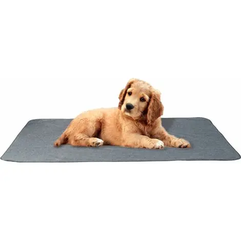 Tapis Pour Animaux - Imperméable Anti-dérapant Absorbant - Pour Chiots et Chiens - 60 x 40 cm - 1 Pièce | Très apprécié des clients