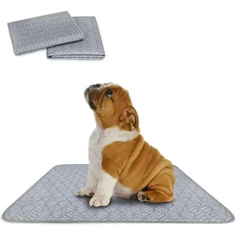 – Tapis éducateur pour chien lavable et réutilisable – Ultra-absorbant et antidérapant – Protection sol pour chiots – Motifs décoratifs - Offre bientôt terminée