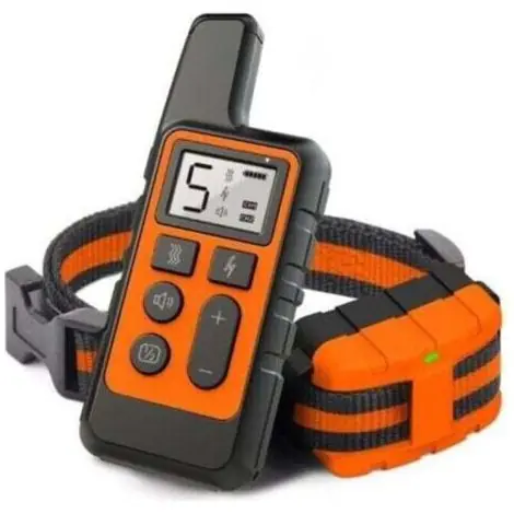 Collier de dressage pour chien, collier électrique étanche et rechargeable, télécommande 500 m - Prix cassé