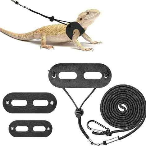 Ensemble de laisses pour dragon barbu - Laisse réglable en cuir pour lézards et reptiles (tailles S, M, L, ensemble de 3 pièces) | Réduction