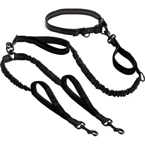 Achetez dès maintenant | Laisse mains libre pour 2 chiens grande et moyenne taille laisse anti traction avec coutures réfléchissantes pour chien accessoire chien pour le jogging, la marche à pied, la randonnée, l’escalade