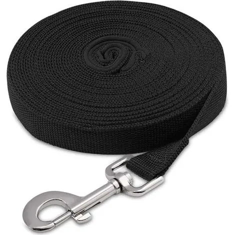 Longe pour Chien 5 m – Laisse de Dressage Idéale pour Randonnée, Camping, Plage et Entraînement - Produit tendance