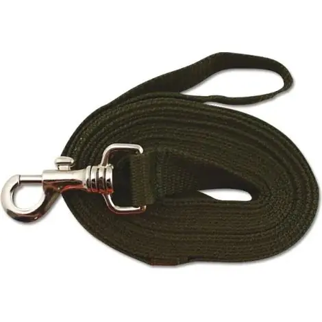 Retour facile - Longe pour chien 5m kaki ou orange