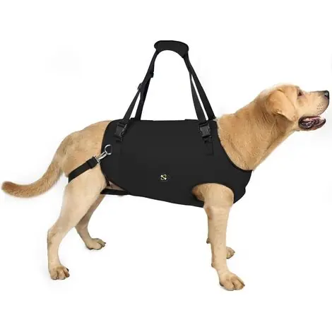 1 Harnais De Levage,Sangles Ajustables Rembourrées,Matériau Respirant,Pour Chien Âgé Handicapé Arthrite | Derniers exemplaires
