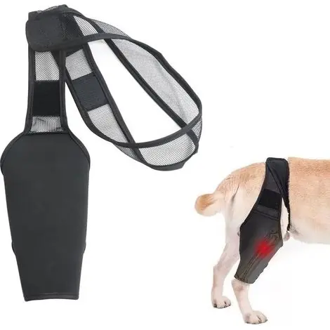 Collerettes pour chiens,Protection de cuisse pour chien, attelle articulaire, orthèse de patte, attelle de rééducation, sangle de fixation de patte, taille XL - Excellente qualité