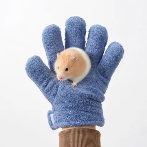 Nouvel arrivage - Gant de protection pour petits animaux