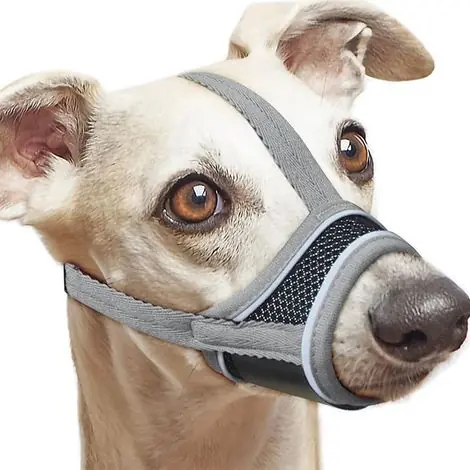 Prix imbattable - Muselière Réfléchissante pour Chien - Nylon Doux, Ajustable et Respirant
