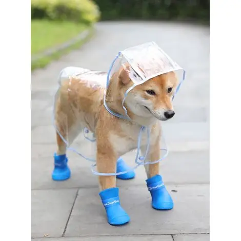 Satisfait ou remboursé - Chien Imperméable Poncho Imperméable Coupe-Vent Imperméable Veste Chien Bottes de Pluie pour Petit à Moyen Chien Chihuahua Chiots En Peluche Bleu