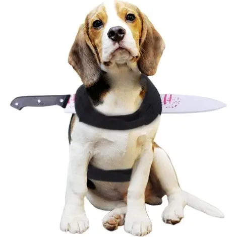 Chien Halloween Gilet Ensanglanté Déguisement Effrayant Réaliste Accessoire Cosplay Animal Prop Accessoire Farce - Préféré des clients