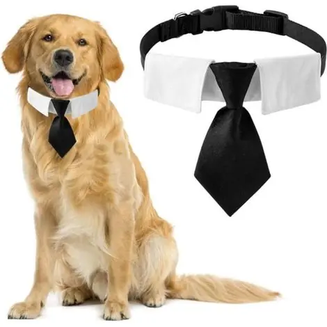 Cravate pour chien, 1 lot de cravate noire en coton avec boucle réglable pour chiens de taille moyenne et grande, taille M - Tout juste ajouté