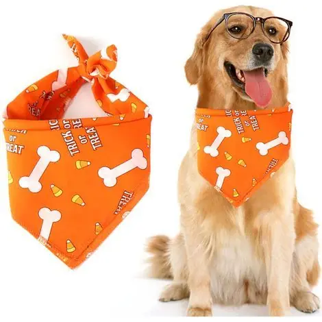 Bandanas d‘halloween pour chien, collier pour animaux de compagnie, écharpe, foulard, bavoirs lavables pour chat | En stock