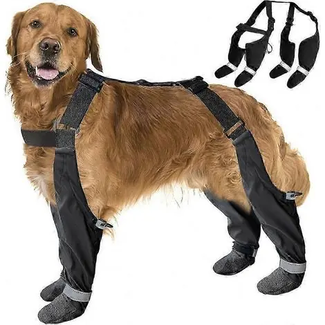 Bottes imperméables pour chien, protection contre la pluie et la neige, grandes tailles, avec bretelles pour l‘hiver. | Livraison express