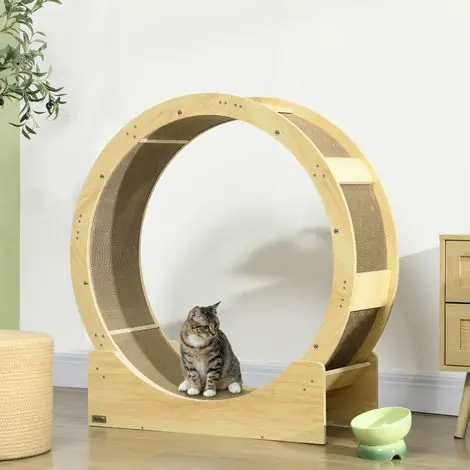 Roue d‘exercice pour chat 91 cm, roue pour chat 91 cm avec frein, griffoir, chêne - Paiement sécurisé