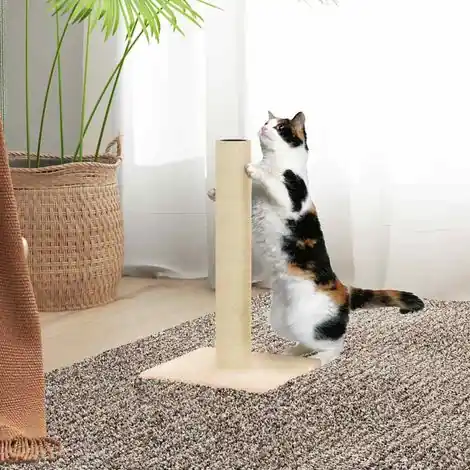 Arbre à chat Maison à chat - Grande capacité Crème 22x22x45 cm BV432224 - BonneVie | Disponible