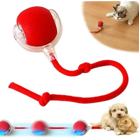 Balle Chat Interactive, Cat Toy, Balle pour Chat, Pet Smart Rolling Ball,Ball Automatic Cat Toy,Boules pour Chats pour Le Jeu et l‘interaction | Plébiscité par les clients