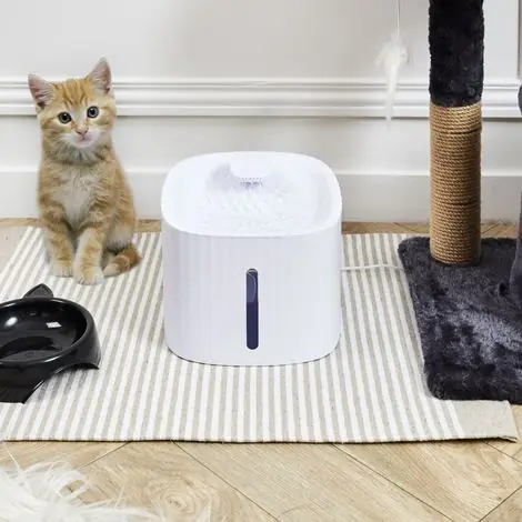 Fontaine à Eau Pour Chat - THE CONCEPT FACTORY - Blanche | Bientôt épuisé