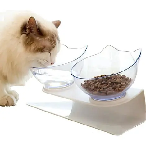 Gamelle surélevée pour chat – Inclinaison 15° – Antidérapante et amovible – Protection cervicale – Plastique PC et ABS – 28 x 15 x 12 cm – Dontodent - Commandez dès aujourd'hui