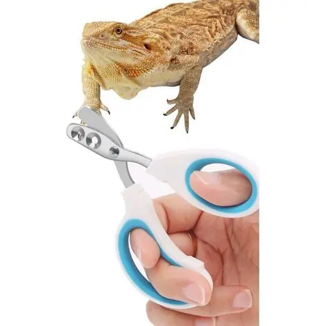 Coupe-ongles en acier inoxydable pour dragons barbus, coupe-ongles (pour petits reptiles) (bleu) - Disponible dès maintenant