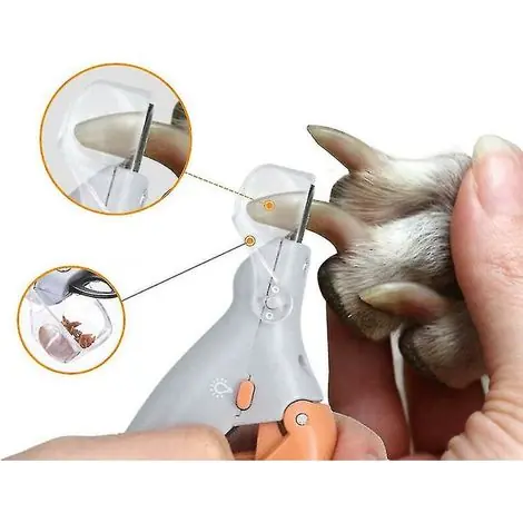 Ciseaux professionnels coupe-ongles pour chien et chat – Lame en acier inoxydable – Loupe intégrée – Lumière LED pour précision - Petit prix
