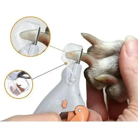 Ciseaux pour coupe-ongles - Professionnel - Chien - LED - Acier inoxydable - Anti-claboussures - Plébiscité par les clients
