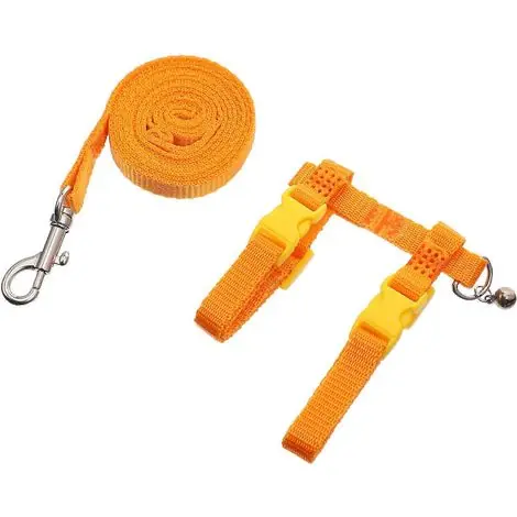 Bon prix - Corde de traction pour petits animaux de compagnie avec 6 sangles de harnais orange