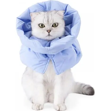 Bon prix - Collerette Chat Protection, Collier Récupération Doux Ajustable pour Chat Anti-Morsure, Collerette Chat Anti-grattage Confortable pour Moyenne/Grand Chat et Chiots, Bleu