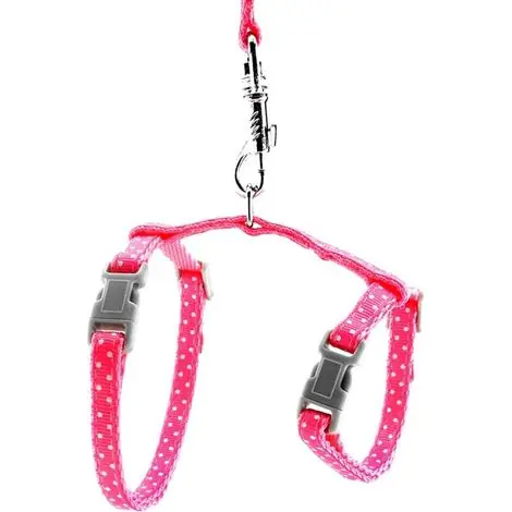 Tout juste ajouté - Ensemble harnais et laisse pour chat pour animaux de compagnie rose