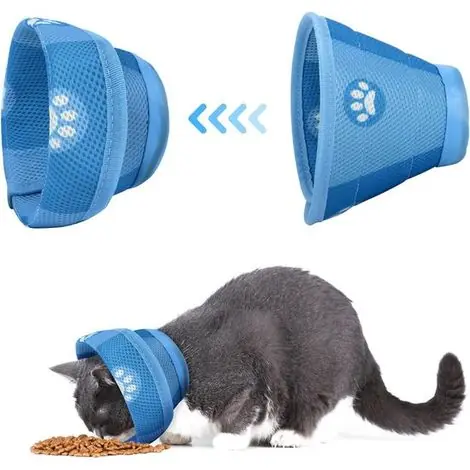 Derniers articles - Collier de protection pour chat – Post-opératoire – Confort et sécurité – Réglable