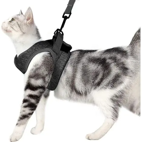 Expédition express | Harnais et laisse pour chat, collier ultra-léger, doux et confortable pour chaton, veste de promenade pour chat idéale pour la course, imperméable, convient aux chiots et aux lapins (gris, L) - TREETA